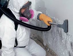 Best Asbestos and Lead Testing During Mold Inspection  in Brooksville, FL